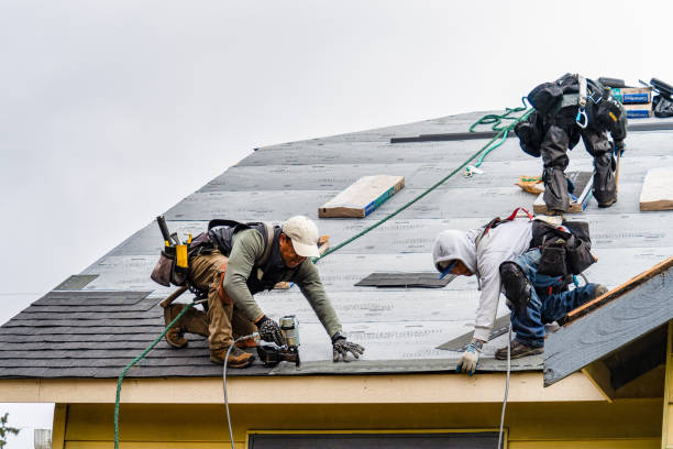 Professional Gutter Installation technician working in Horatio, AR